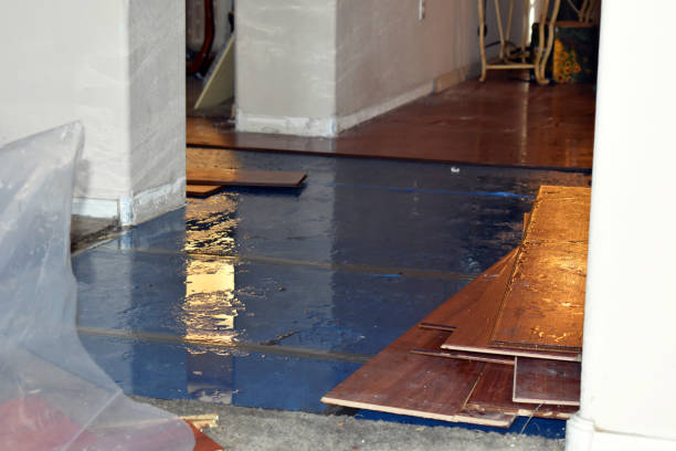 Professional Burst Pipe Cleanup technician working in Hobart, IN